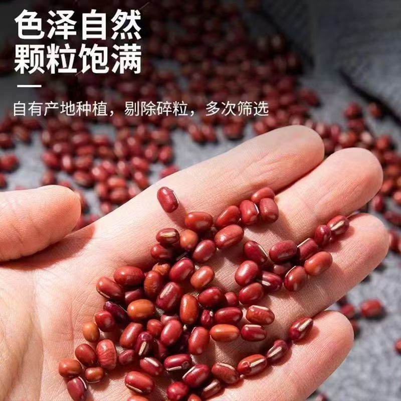 东北红豆红小豆一手货源基地直发货源充足欢迎订购