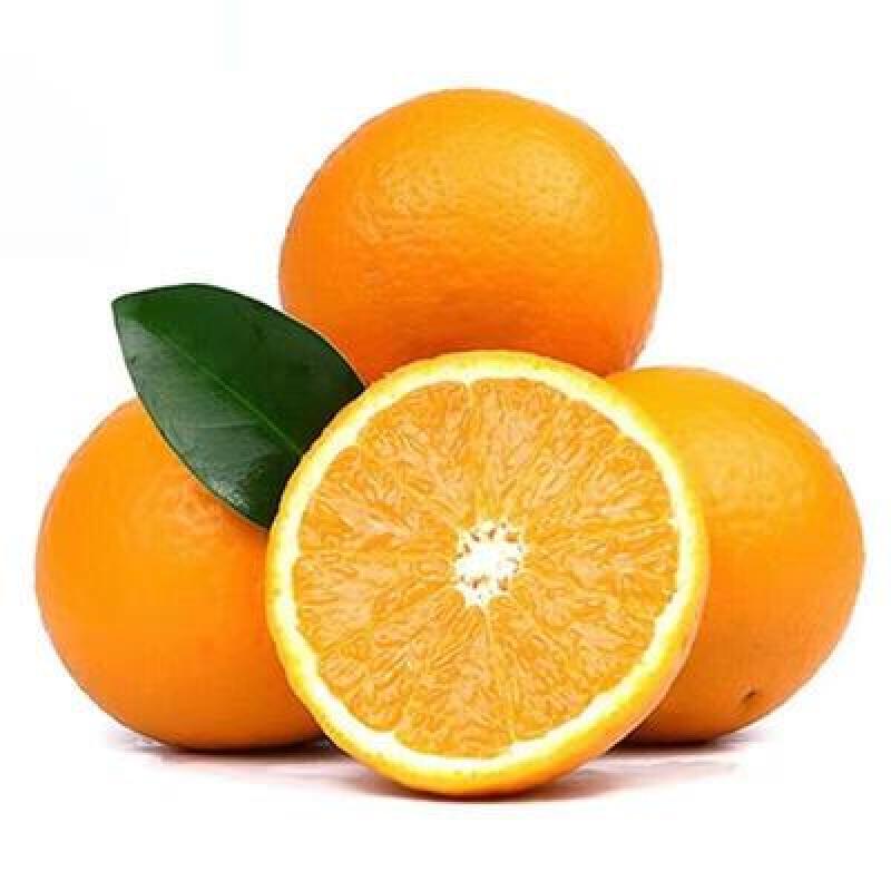 麻阳冰糖橙对接电商