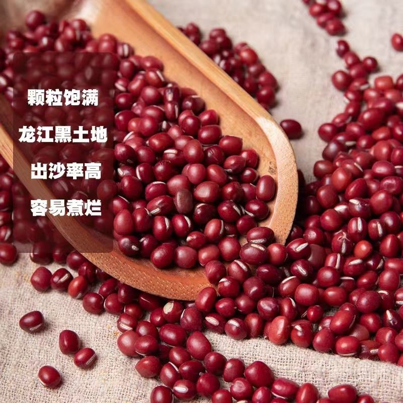 东北红豆红小豆一手货源基地直发货源充足欢迎订购