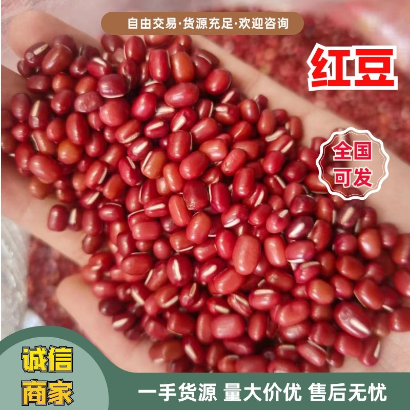 东北红豆红小豆一手货源基地直发货源充足欢迎订购