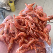 虾干干虾地摊展会电商批发樱花虾干河虾干