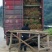 纯正品种繁多茶苗苗圃批发量大从优