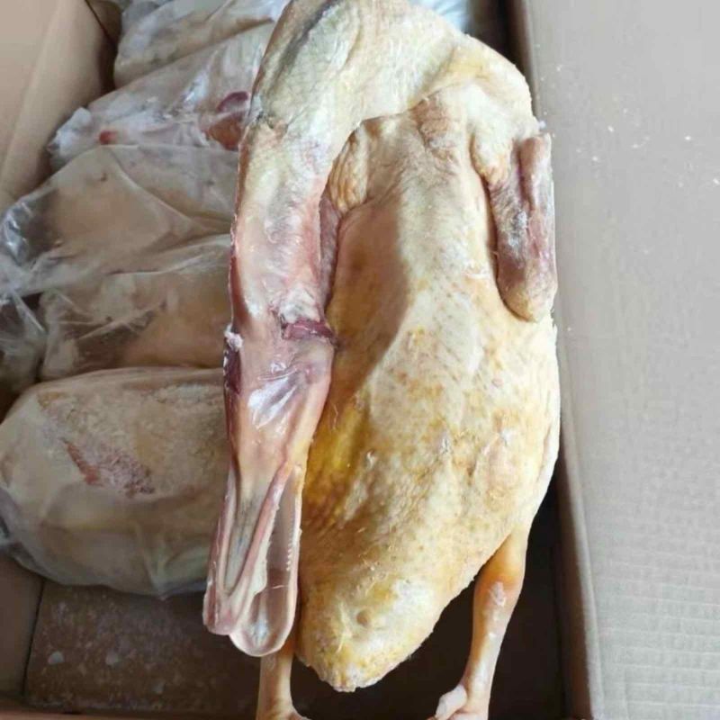 番鸭大白番鸭白条番鸭公番母番规划齐全厂家直发全国发货