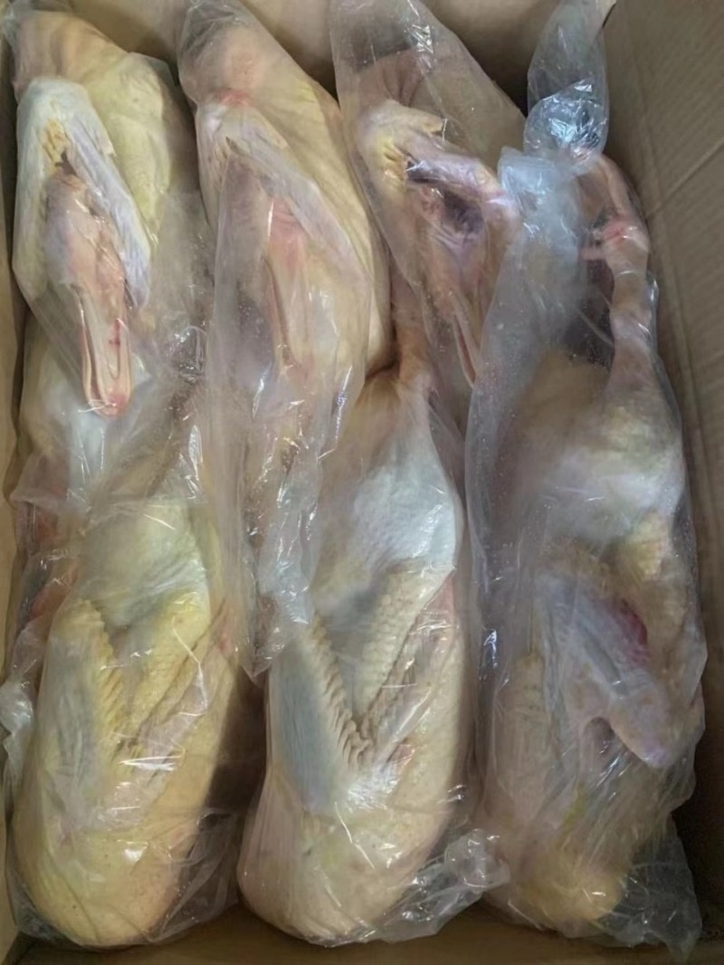 番鸭大白番鸭白条番鸭公番母番规划齐全厂家直发全国发货