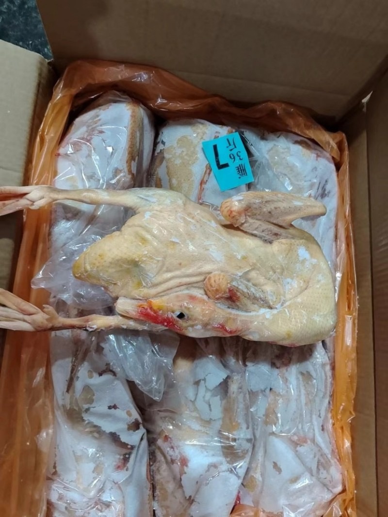 番鸭大白番鸭白条番鸭公番母番规划齐全厂家直发全国发货