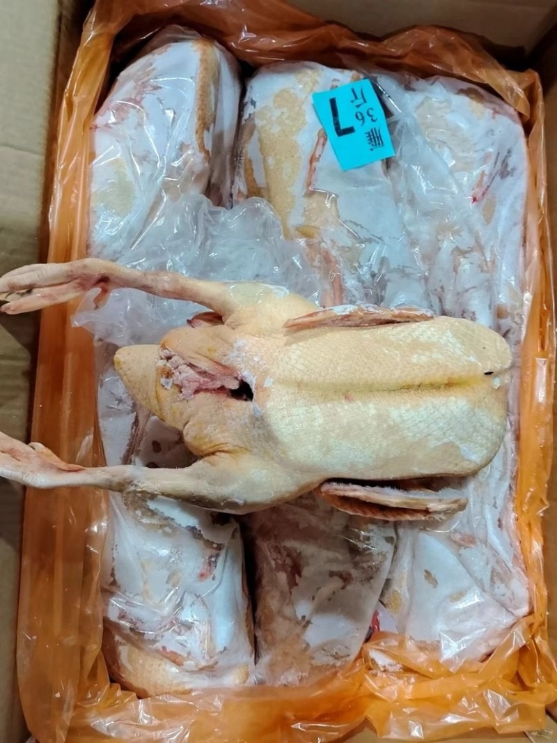 番鸭大白番鸭白条番鸭公番母番规划齐全厂家直发全国发货