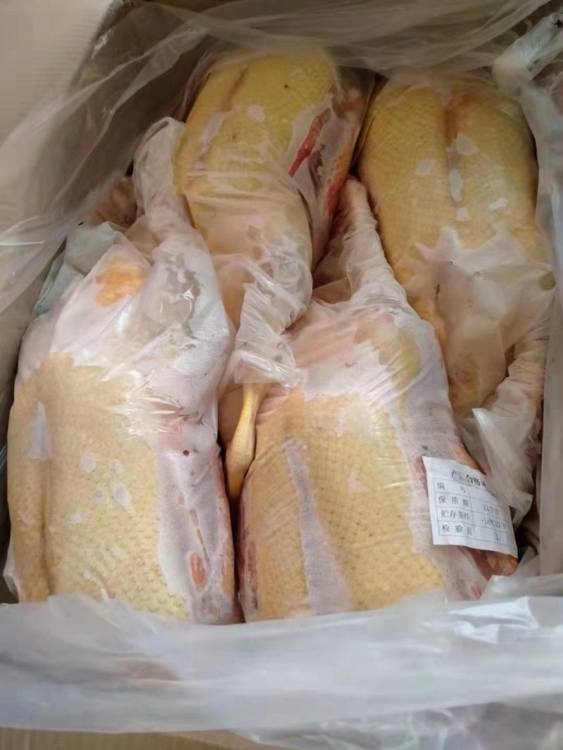 番鸭大白番鸭白条番鸭公番母番规划齐全厂家直发全国发货