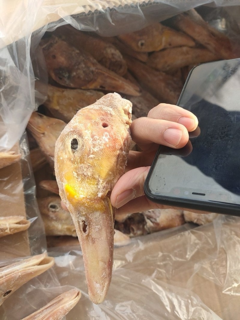番鸭大白番鸭白条番鸭公番母番规划齐全厂家直发全国发货