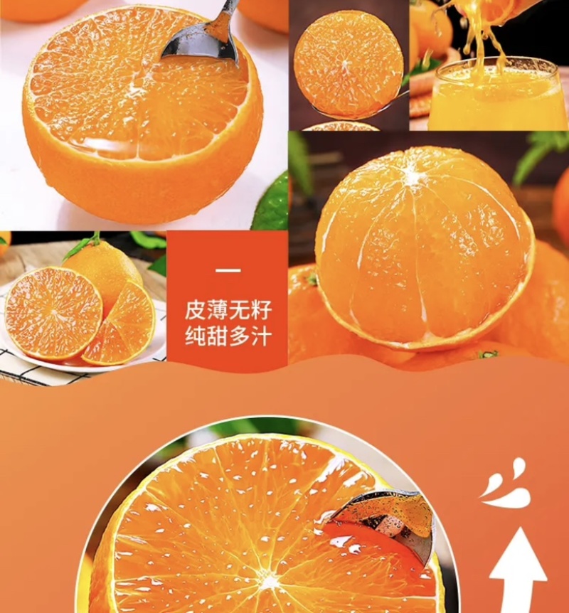 爱媛38果冻橙，现摘现发，一件代发，整车。打包售后无忧。