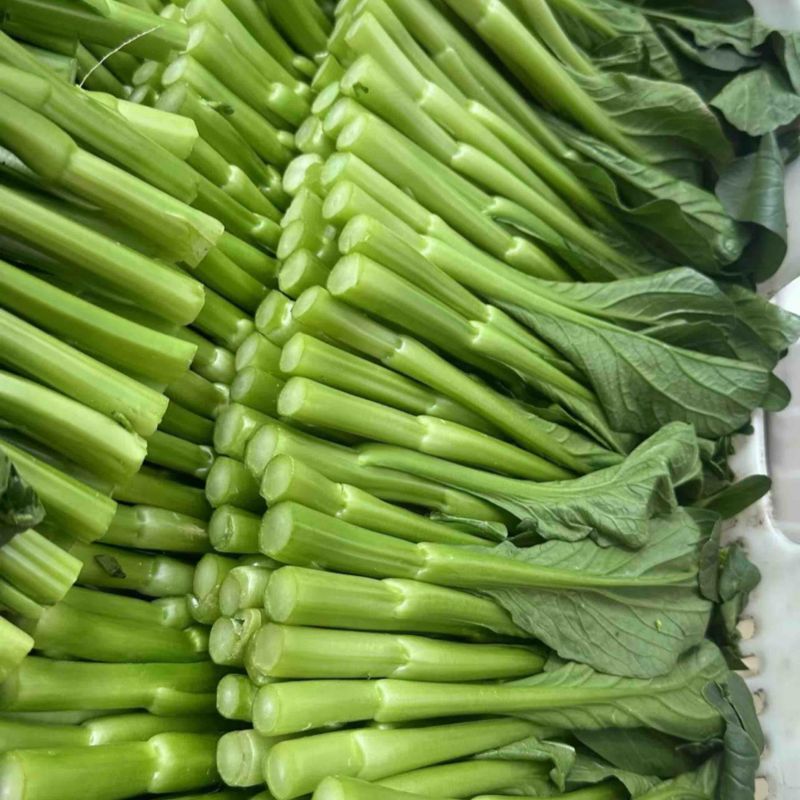 广东菜心50一件，净重30斤泡沫箱