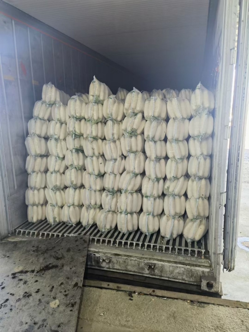 【热卖】精品白萝卜湖北萝卜一手货源产地直发欢迎致电合作