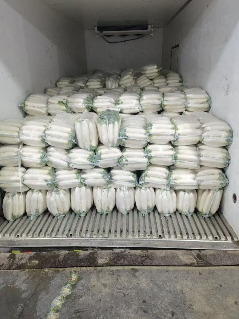 【热卖】精品白萝卜湖北萝卜一手货源产地直发欢迎致电合作