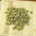 铁皮石斛枫斗，云南原产地，价格不贵，量大的可议价