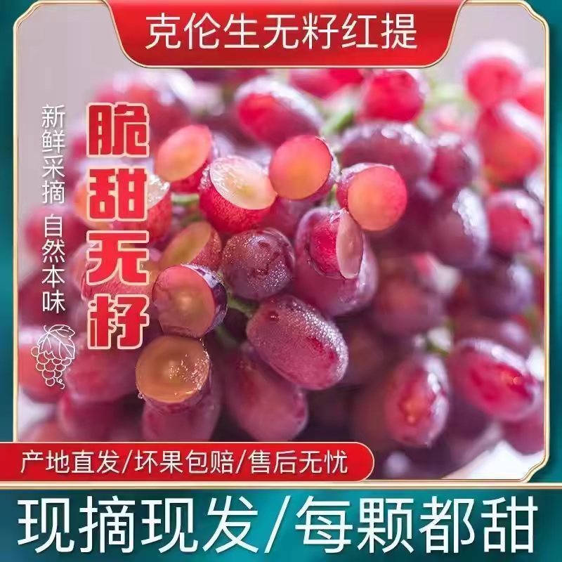 山西红提/克伦生葡萄/运城葡萄/产地批发/欢迎来电