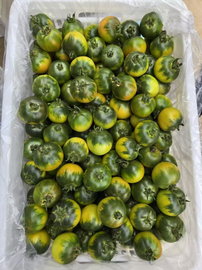 精品草莓柿子