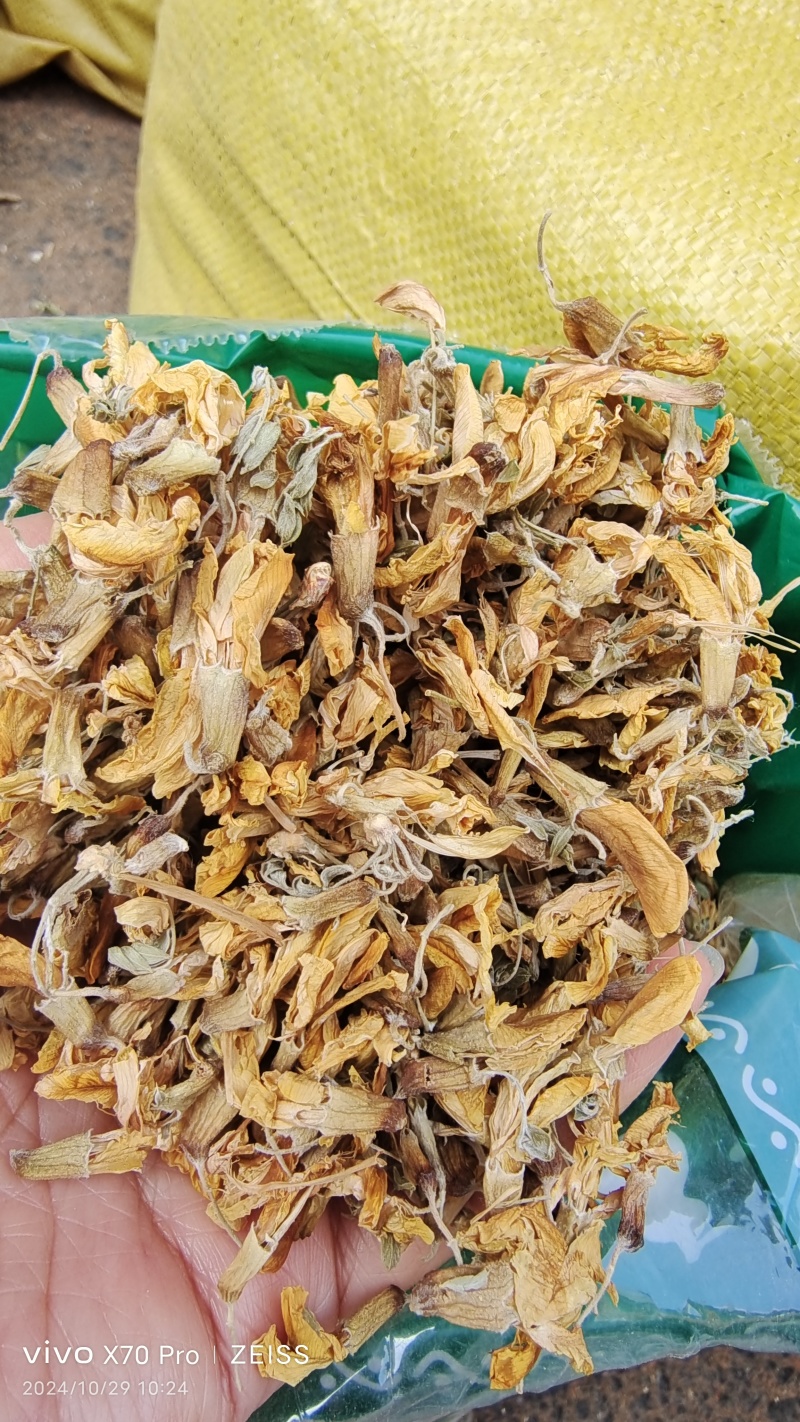金雀花中药材干货欢迎选购量大优惠