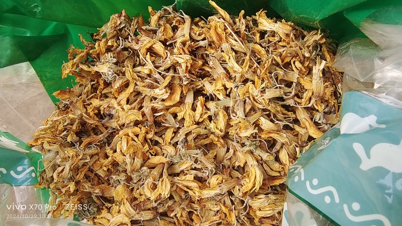 金雀花中药材干货欢迎选购量大优惠