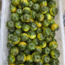 精品草莓柿子
