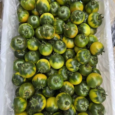 精品草莓柿子