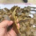 棉籽饼含有机质高，厂家直销，量大从优，保证质量