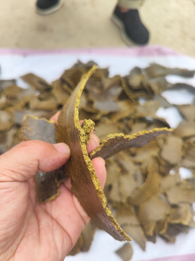 棉籽饼含有机质高，厂家直销，量大从优，保证质量