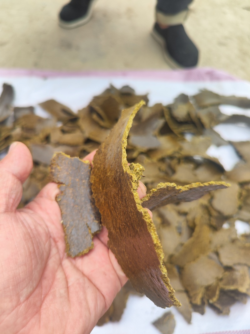 棉籽饼含有机质高，厂家直销，量大从优，保证质量