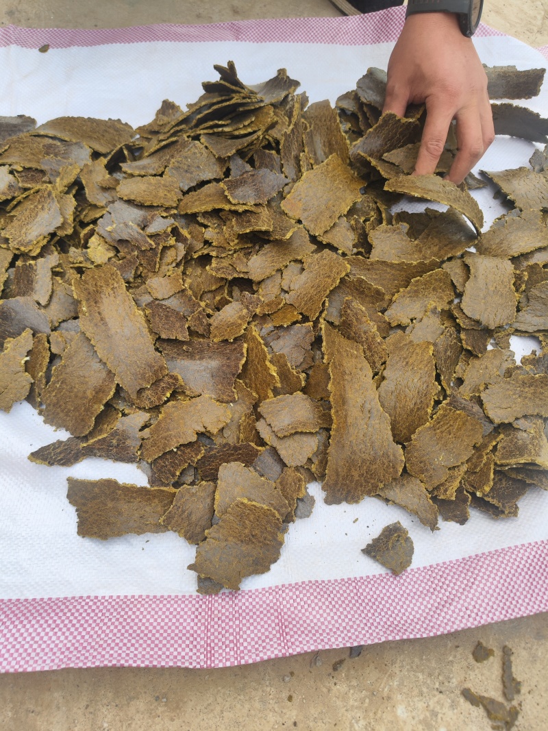 棉籽饼含有机质高，厂家直销，量大从优，保证质量