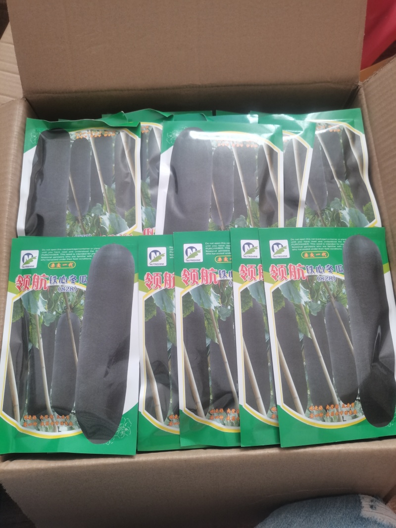 铁心领航828冬瓜种子，包邮，一袋260粒