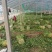 产地芹菜大量上市