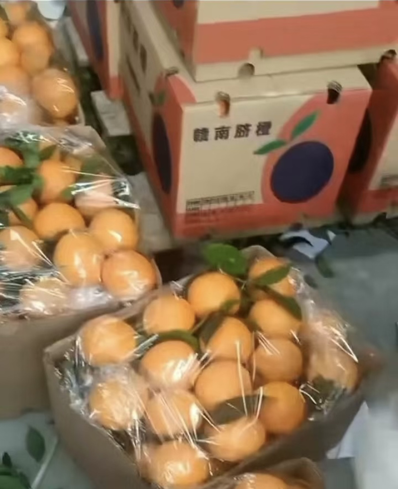 纽荷尔脐橙大量供应，电商货，市场外贸各种洗果包装一条龙