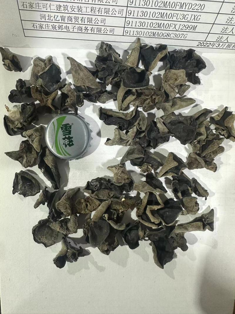 秋木耳东北黑木耳超市地摊展销会电商用保证质量诚信合作