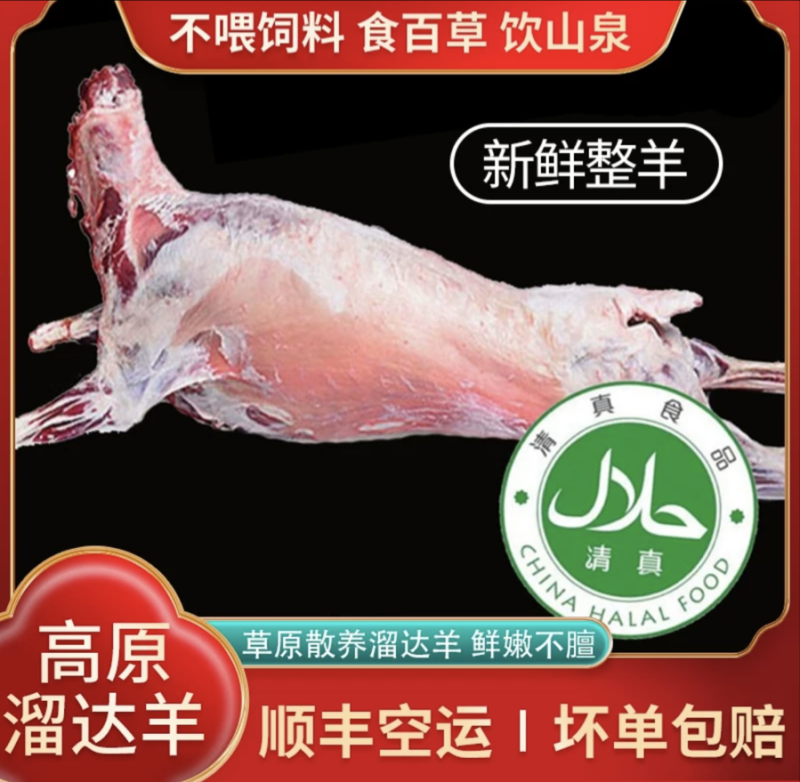 【优选】青海白条羊养殖厂保质保量货源充足价格可谈欢迎咨询
