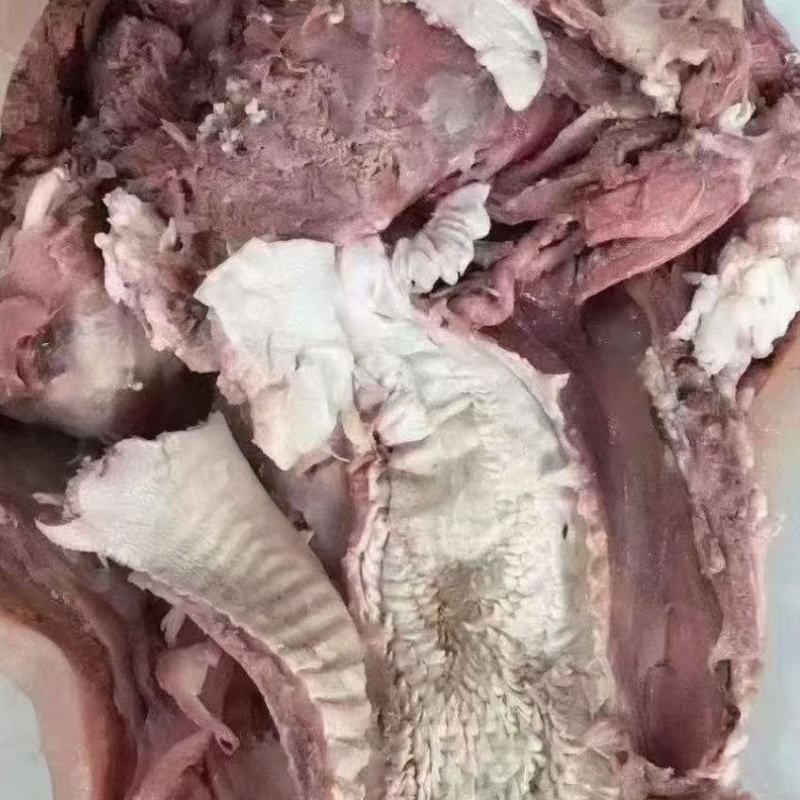 熟牛头肉，带皮熟牛头肉，去皮熟牛头肉，量大从优，