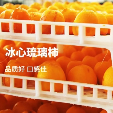 《牛商》流心冰柿、冰淇淋柿饼，鲜食柿饼、半干燥柿饼、