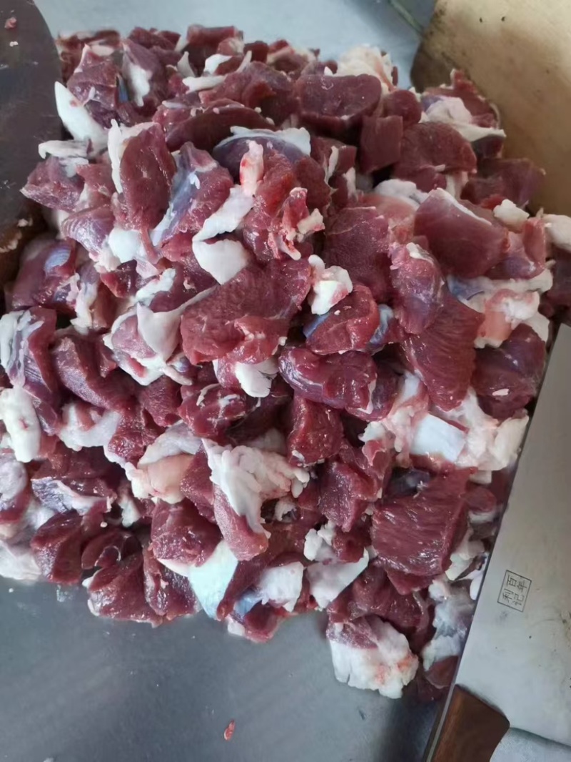 陕西横山跑山羊羊肉供应中精品羊肉品质保证诚信经营