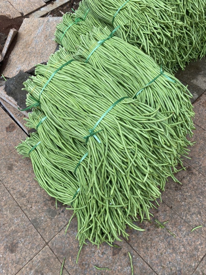 广东徐闻县豆角