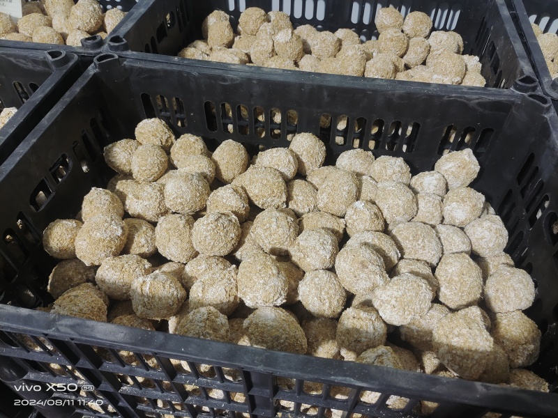 河南特产变蛋，溏心变蛋，无铅松花蛋，加工厂直供，量大价优