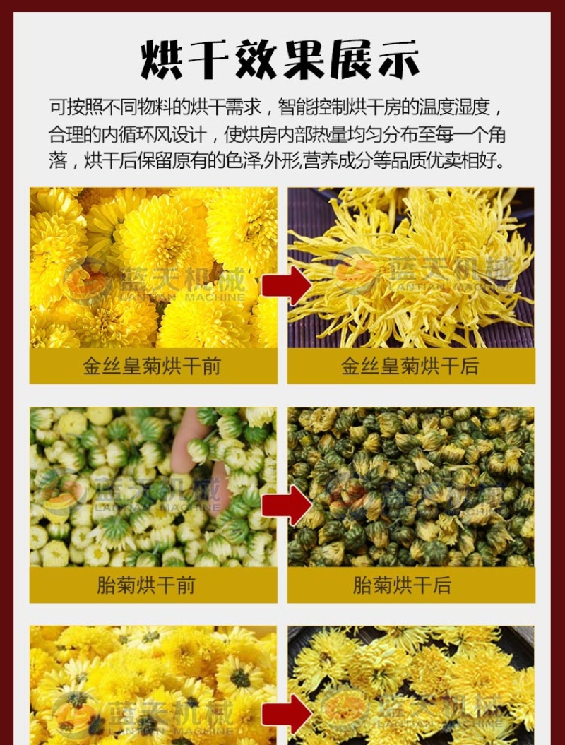 菊花烘干机热泵菊花烘干房金丝皇菊黄菊花干燥机野菊花烤房
