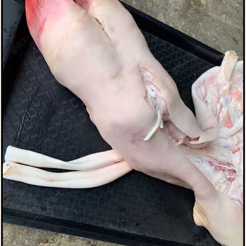 热卖带筋去骨牛蹄（全去骨牛蹄，源头厂家直发，全国发货。