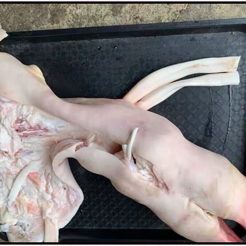 热卖带筋去骨牛蹄（全去骨牛蹄，源头厂家直发，全国发货。