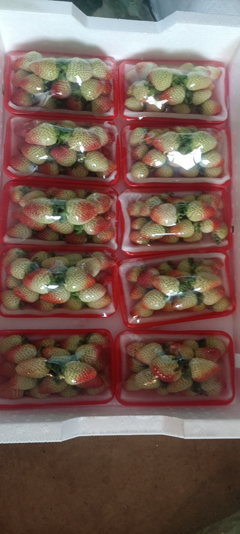 蒙特瑞，四季草莓