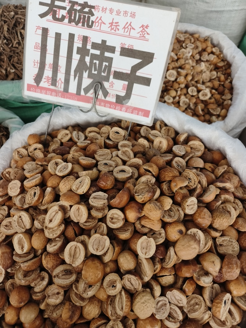 中药材川楝子批发零售保证质量