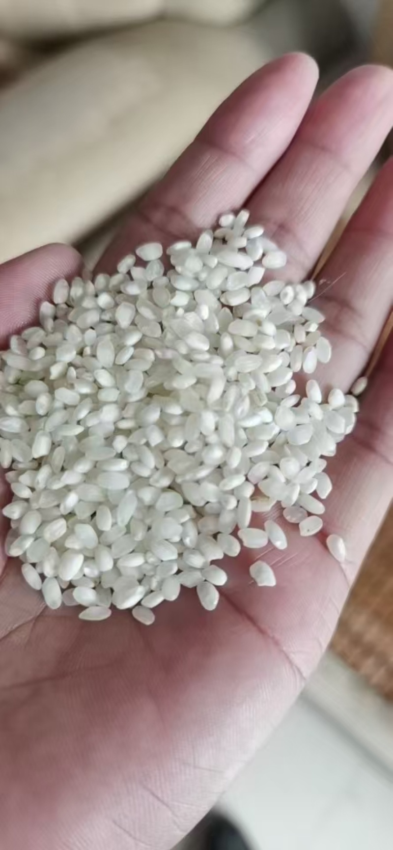 新粮三清米厂家直发保质保量供货发货全国