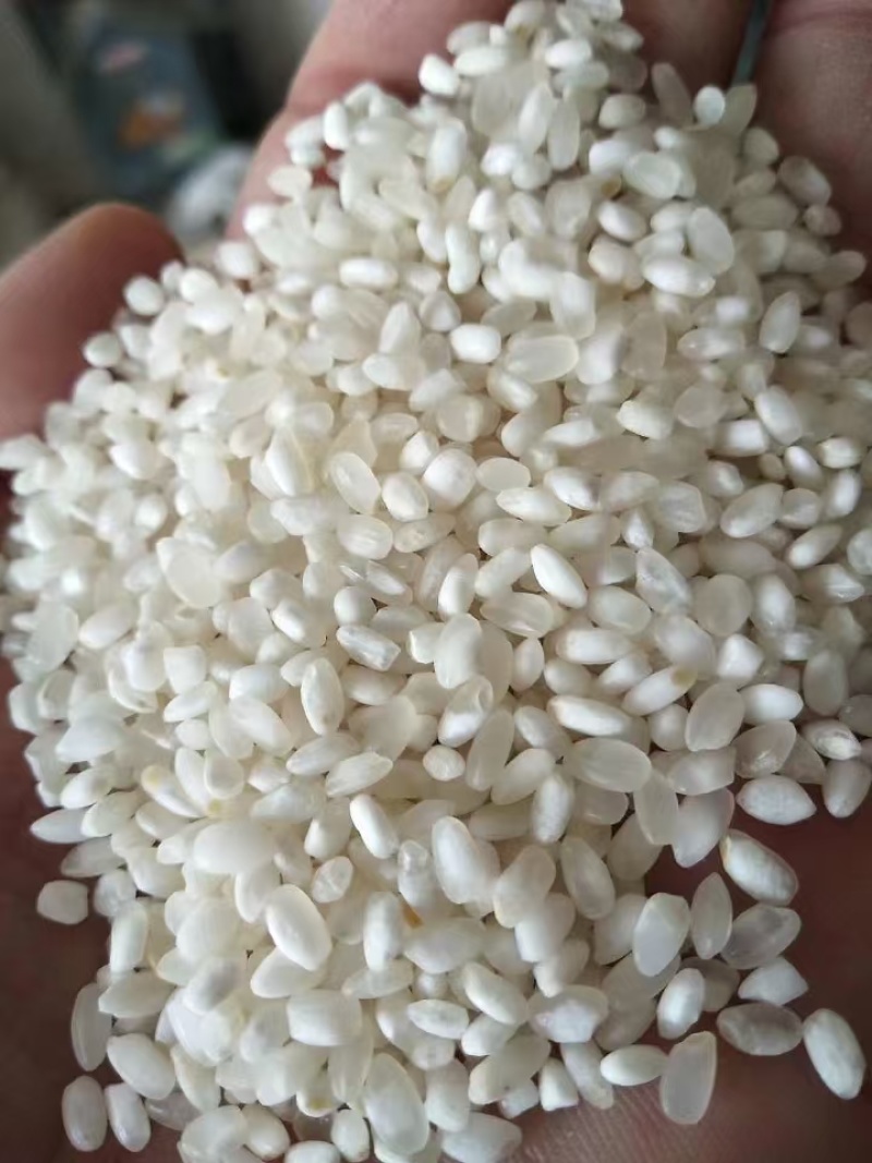 新粮三清米厂家直发保质保量供货发货全国