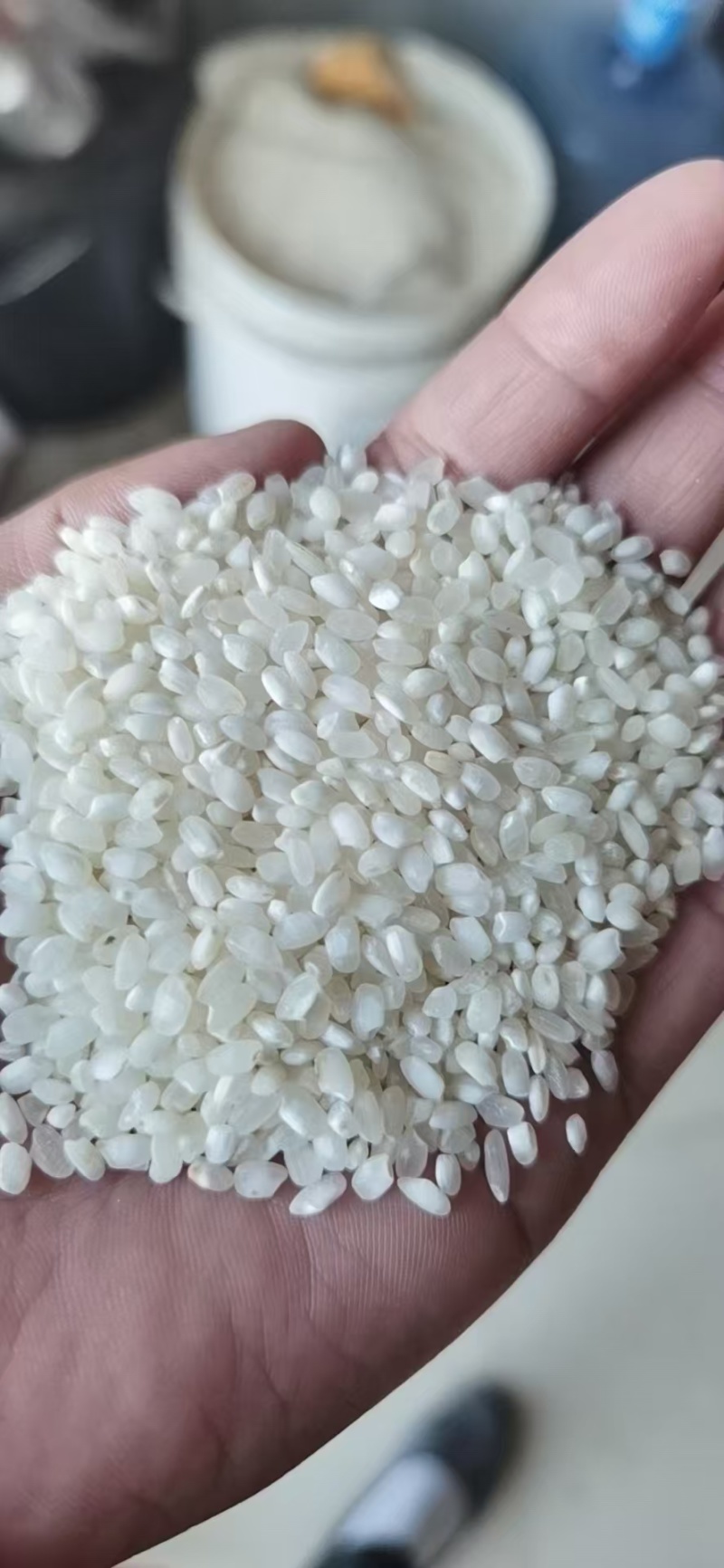 新粮三清米厂家直发保质保量供货发货全国