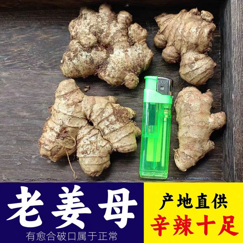 贵州镇宁二黄姜老姜。