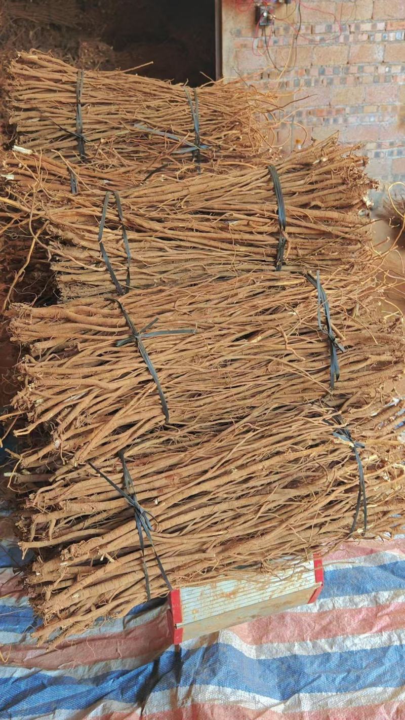 小叶红皮千斤拔，吊马桩产地直供