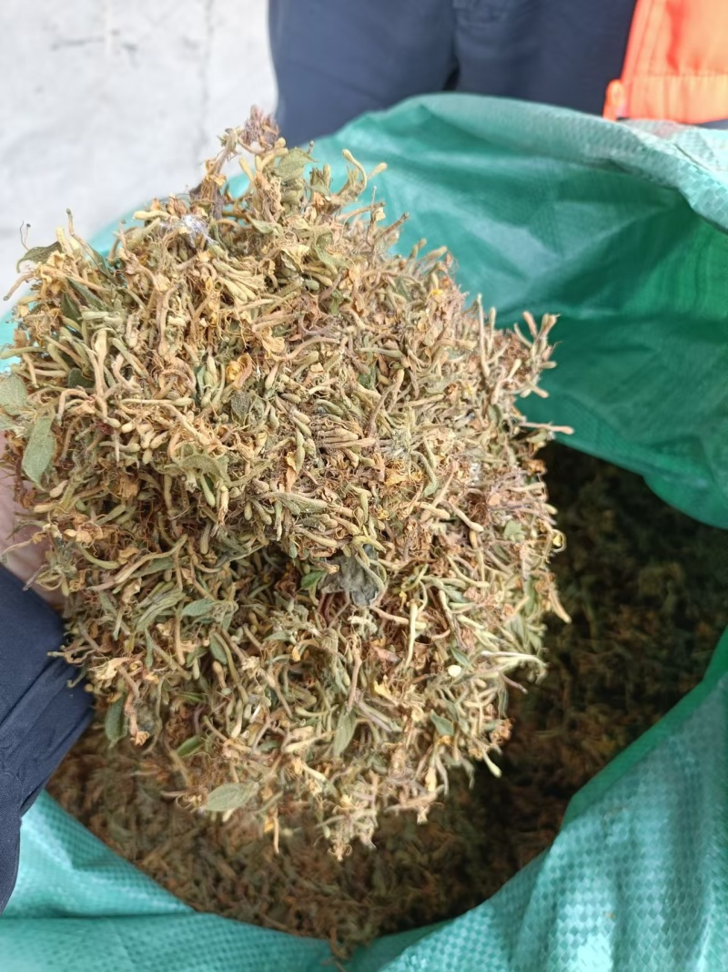 贵州安龙县金银花/常年有货/自然晾晒/人工精选
