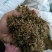 （精品）贵州金银花/太阳晒干无硫/质量过关/全国发货