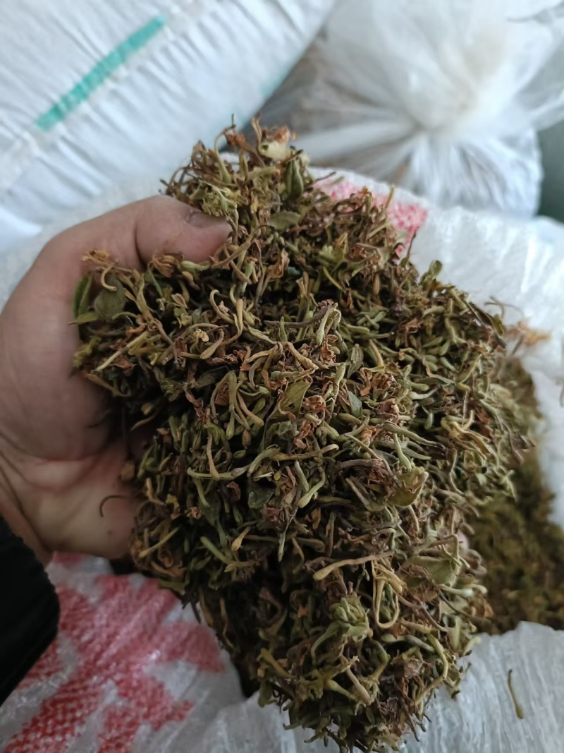 （精品）贵州金银花/太阳晒干无硫/质量过关/全国发货